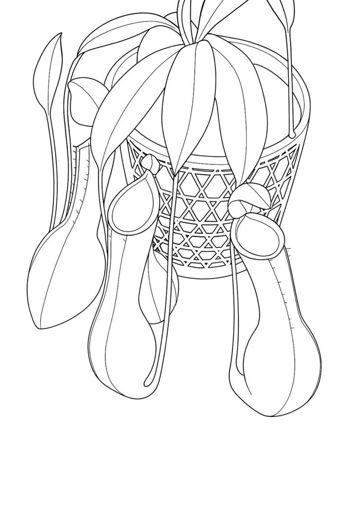 ガーミンを使って行われた研究を調査してまとめて下さい