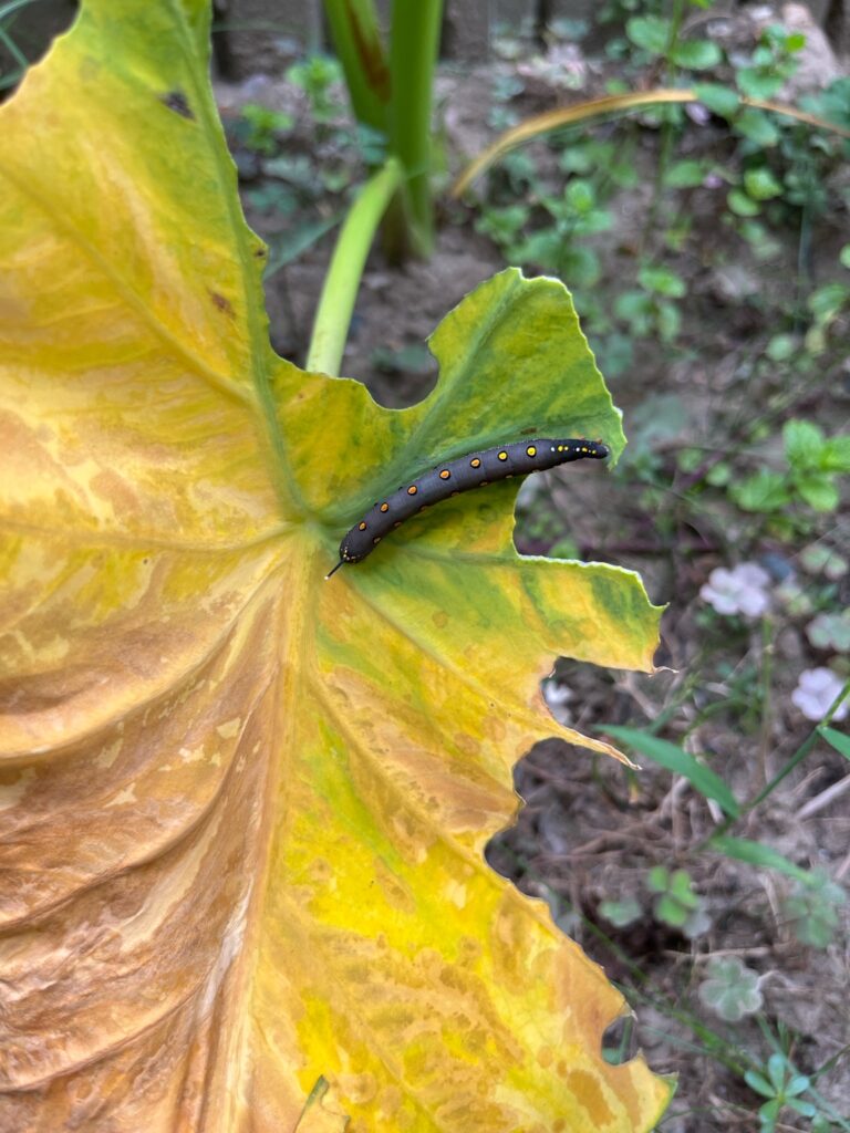 【機械加工】カメラと検出用途