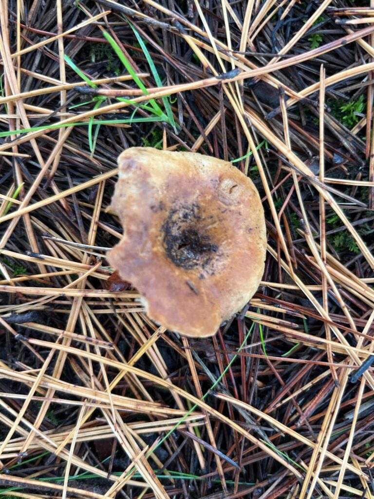 【飯塚保】硬脆材料の超精密加工を可能とする超精密旋盤の開発　試験関連